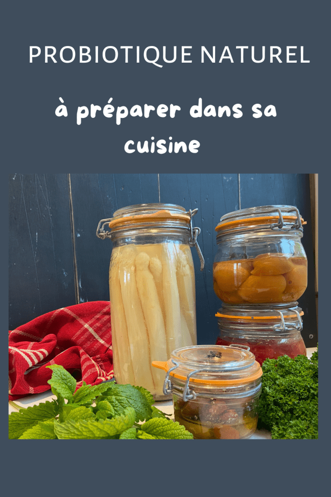 Les Probiotiques Les Plus Puissants Sont Dans Votre Assiette Acad mie Les Probiotiques Les Plus Puissants Sont Dans Votre Assiette Acad mie